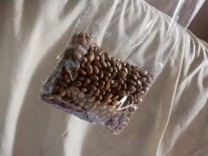 How to Use Miracle seed for Flat tummy: Easy way
